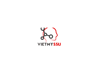 Công Ty Tnhh Việt Mỹ Ssu